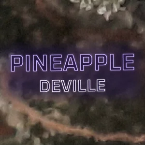Pineapple DeVille Cannabis Strain