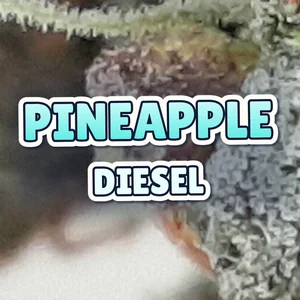 Pineapple Diesel Cannabis Strain