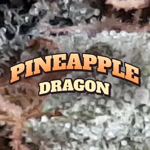 Pineapple Dragon Cannabis Strain