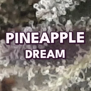Pineapple Dream Cannabis Strain