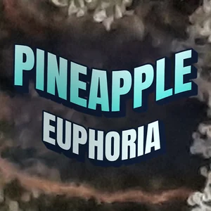 Pineapple Euphoria Cannabis Strain