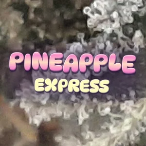 Pineapple Express Cannabis Strain