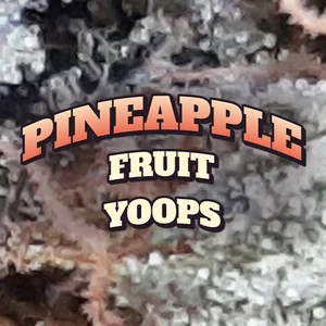 Pineapple Fruit Yoops Cannabis Strain
