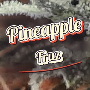 Pineapple Fruz Cannabis Strain