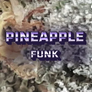 Pineapple Funk Cannabis Strain