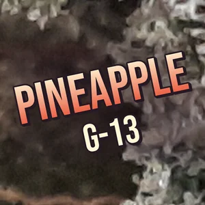 Pineapple G-13 Cannabis Strain