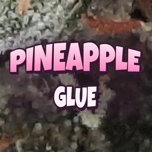 Pineapple Glue Cannabis Strain