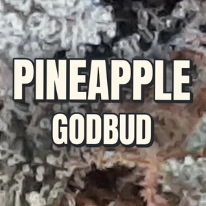 Pineapple Godbud Cannabis Strain