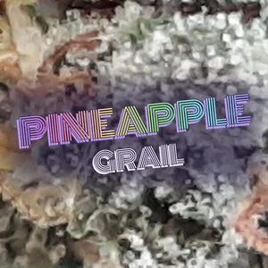 Pineapple Grail Cannabis Strain