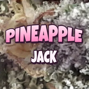 Pineapple Jack Cannabis Strain