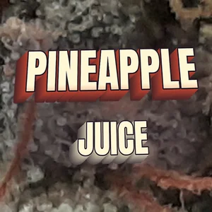 Pineapple Juice Cannabis Strain