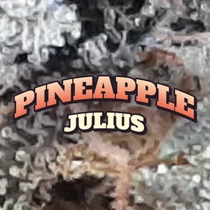 Pineapple Julius Cannabis Strain