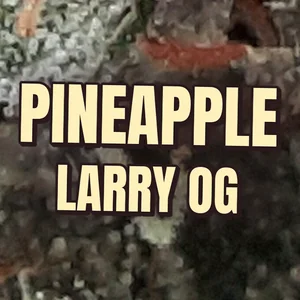 Pineapple Larry OG Cannabis Strain