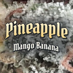 Pineapple Mango Banana Cannabis Strain