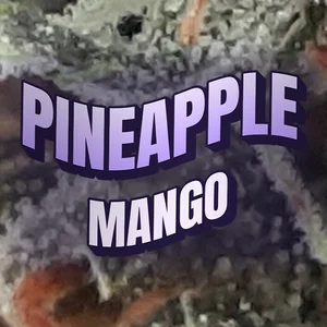 Pineapple Mango Cannabis Strain