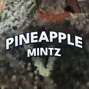 Pineapple Mintz Cannabis Strain