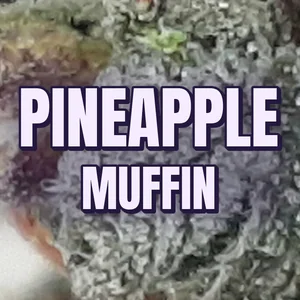 Pineapple Muffin Cannabis Strain