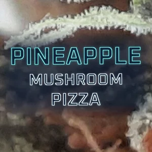 Pineapple Mushroom Pizza Cannabis Strain