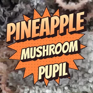 Pineapple Mushroom Pupil Cannabis Strain
