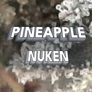 Pineapple Nuken Cannabis Strain