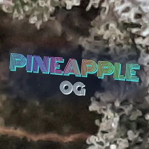 Pineapple OG Cannabis Strain