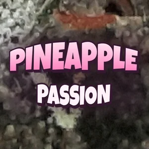 Pineapple Passion Cannabis Strain