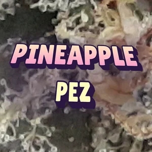 Pineapple Pez Cannabis Strain