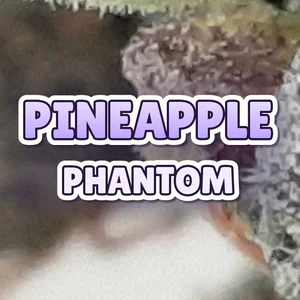 Pineapple Phantom Cannabis Strain