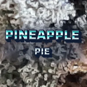 Pineapple Pie Cannabis Strain