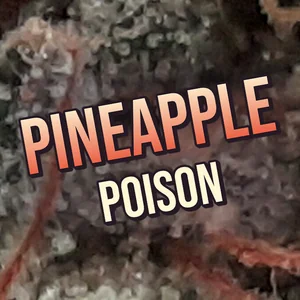 Pineapple Poison Cannabis Strain