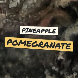 Pineapple Pomegranate Cannabis Strain