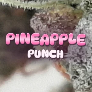 Pineapple Punch Cannabis Strain