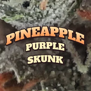 Pineapple Purple Skunk Cannabis Strain