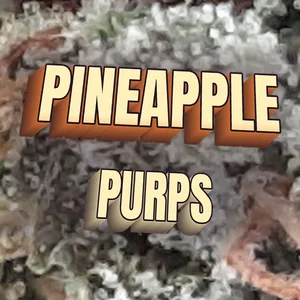 Pineapple Purps Cannabis Strain