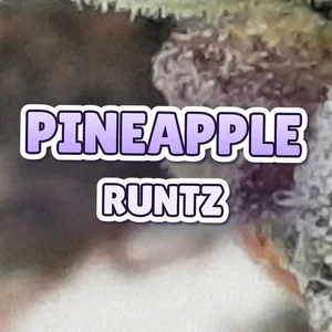 Pineapple Runtz Cannabis Strain
