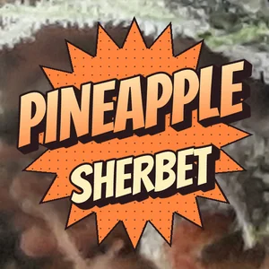 Pineapple Sherbet Cannabis Strain