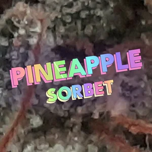 Pineapple Sorbet Cannabis Strain