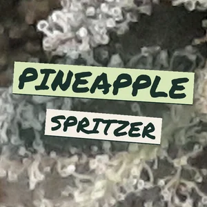 Pineapple Spritzer Cannabis Strain