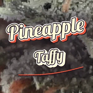 Pineapple Taffy Cannabis Strain