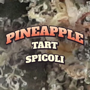 Pineapple Tart Spicoli Cannabis Strain