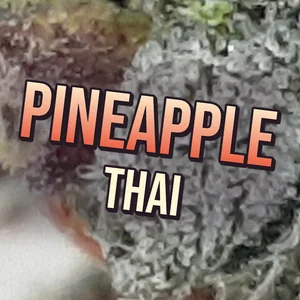 Pineapple Thai Cannabis Strain
