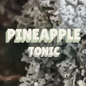 Pineapple Tonic Cannabis Strain