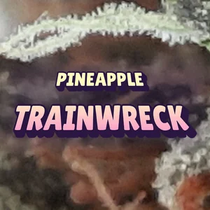 Pineapple Trainwreck Cannabis Strain