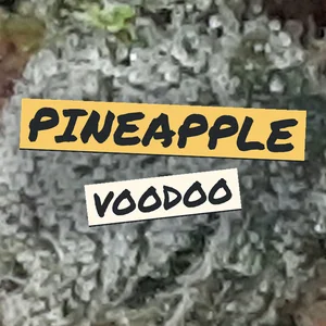 Pineapple Voodoo Cannabis Strain