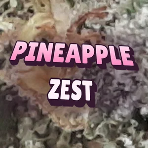 Pineapple Zest Cannabis Strain