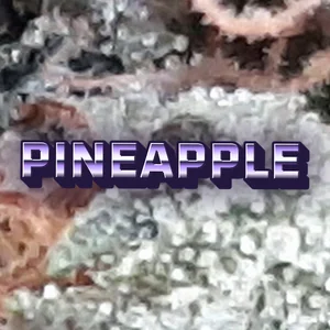 Pineapple Cannabis Strain