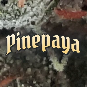 Pinepaya Cannabis Strain