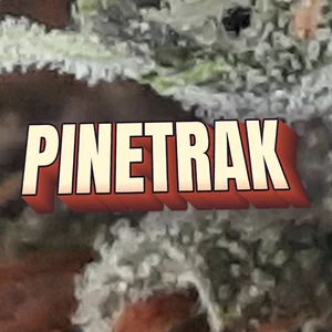 Pinetrak Cannabis Strain