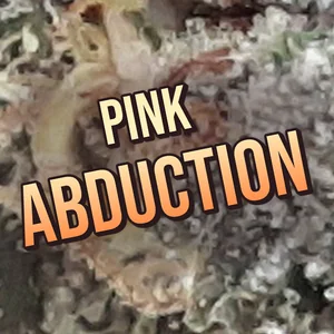 Pink Abduction Cannabis Strain