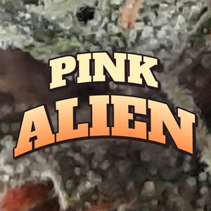 Pink Alien Cannabis Strain